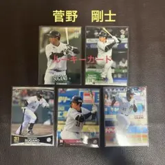 BBM 千葉ロッテマリーンズ　菅野剛士選手　カードセット