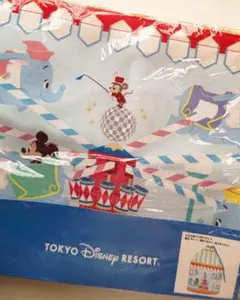 ディズニーランド ストレージボックス ダンボ 収納袋