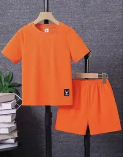 Item thumbnail for item 09a0c681-d22f-4ede-bdfc-50609869b436