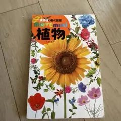 Item thumbnail for item 5a837b4d-e3c8-4bda-866d-4fe397189572