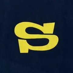【希少】 old stussyＴシャツ ビンテージ