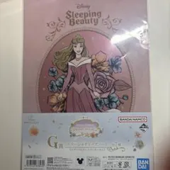 Disney Sleeping Beauty クリアファイルのサムネイル