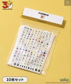 【新品】3COINS ポケモン30周年 BIGジップバッグ　スリーコインズ