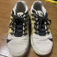 NIKE AIR MAX TERRASCAPE PLUS スニーカー