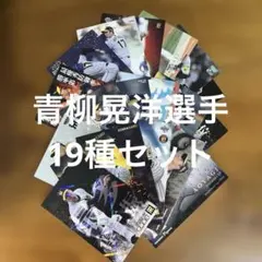 プロ野球チップスカード等青柳晃洋選手19種まとめセット(キラ7種ノーマル12種)