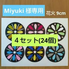 Miyuki様専用　花火ミニサイズ　24個
