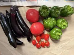 夏野菜セット♪②【本日発送】のサムネイル