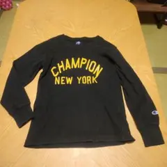 Item thumbnail for item 6e6b5fc0-1c32-4c6f-8db2-07cb542a8450