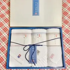 新品未使用！日本名産地タオル ギフトセット