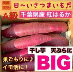 千葉県産さつまいも 熟成紅はるか 2L以上big 5kg