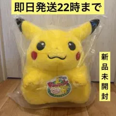 【新品】ポケットモンスター ポケモン30周年記念　おかえり！ピカチュウ