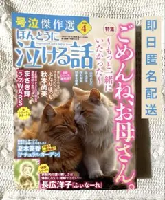 Item thumbnail for item 36fe5ca5-c50e-4c27-ac06-0c8703358007