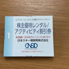 白馬EXアドベンチャー、スパイシーレンタル、割引券