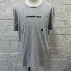【新品】Abercrombie & Fitch 半袖Tシャツメンズ