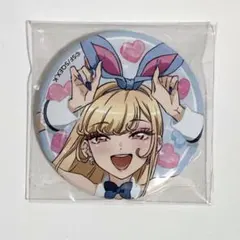 美品】アイカツ！ Girly RED チェキ 缶バッジ 星宮いちご セット