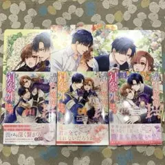 落ちこぼれ白魔導士セシルは対象外のはずでした 1-3巻セット 特典付