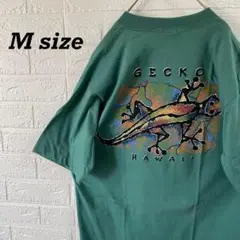 CRAZY SHIRTS 未使用タグ付　USA製Tシャツ シングルステッチのサムネイル
