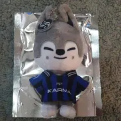 StrayKids karma skzoo ウルフチャン バンチャン キーリング