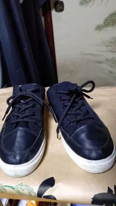 Item thumbnail for item 21c4a2d2-1e63-4ac0-aad2-7aca01fa86c9