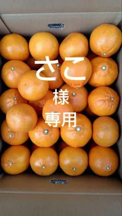 せとか10㎏(家庭用)さこ様専用