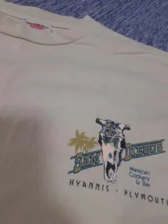 90s オニータ　ヴィンテージ Tシャツ 美品　グッドプリント　レア色　USA