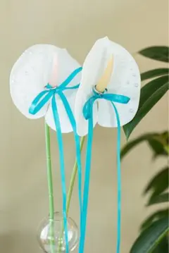 Item thumbnail for item 5e0bc9d6-b2d3-4c0c-aee1-8a6a0af3f6e4