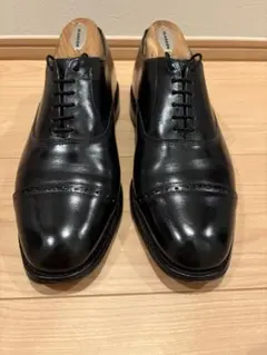 【即日発送】Allen Edmonds Byron 7.5/Dのサムネイル