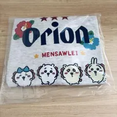 Orion MENSAWLEI 半袖Tシャツ グレー