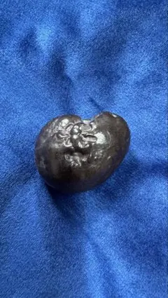 三葉虫 化石 fossil ボリビア産 trilobite 三葉虫判別⑦ - メルカリ