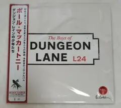 ポール•マッカートニー ダンジョン•レインの少年たち アナログ レッド