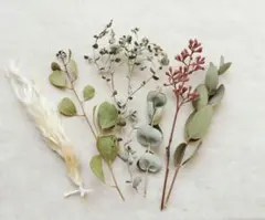 ミニサイズのドライフラワー　小箱　No.２４７　アンティークユーカリの枝葉セット