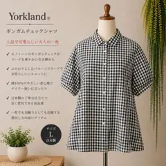 トランプ TRUMP ドット柄 半袖ブラウス S-Mグレージュ フレアスリーブ 