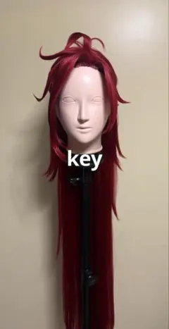 コスプレイナ 山田レイナ - メルカリ