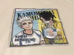 ハイキュー　コミックス全巻ピンズコレクション　ハイキュー展 ハイキュー展 コミックス全巻ピンズセット 受注生産 【公式通販】