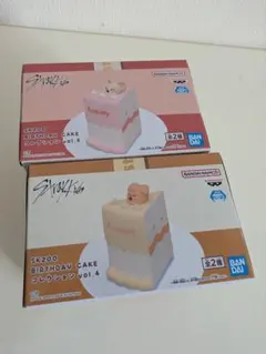 SKZOO BIRTHDAY CAKE コレクション vol.3 vol.4 - メルカリ