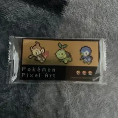 Pokémon Pixel Art 스티커 히코자르 나에토르 팽도리