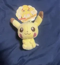 ポケモン キャンバス ジラーチ ぬいぐるみ - メルカリ