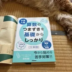 中学入試 算数のつまずきを基礎からしっかり 文章題 Gakken