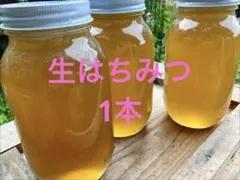 国産　生ハチミツ　1本のサムネイル