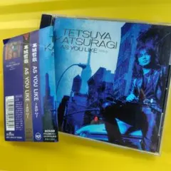 葛城哲哉/アズ・ユー・ライク～KG-2