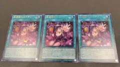 黒魔道のカーテン　ウルトラ3枚