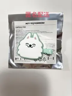 TXT プルバトゥ ヨンモン ヘアクリップ スビン