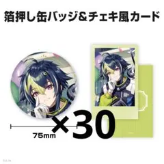 伊波ライ 誕生日グッズ2025 箔押し缶バッジ＆チェキ風カード