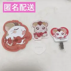 とっとこハム太郎　トンガリくん