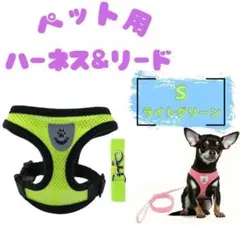 ペット用ハーネス&リード S　ライトグリーン　犬猫