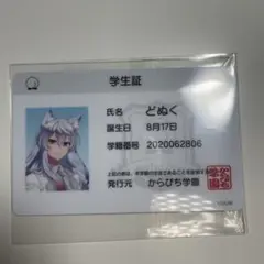 カラフルピーチ からぴちパラダイス2025学生証 どぬく