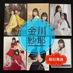 乃木坂46 金川紗耶 ポストカード 生写真