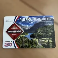 値下げ！America The Beautiful国立公園年パス2027.8月迄