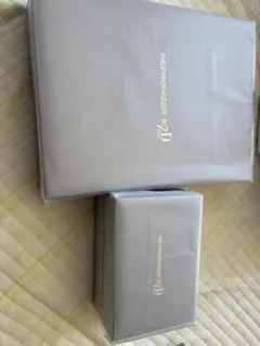 8*8様 【新品未使用未開封】レプロナイザー 107D Plus レシート付き