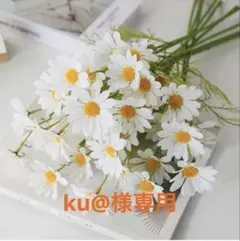 ku@様専用ページです